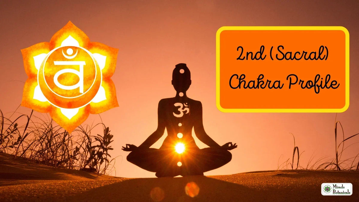 Silhouette meditating in lotus pose at sunset beside an orange sacral chakra symbol, with text: 2nd (Sacral) Chakra Profile