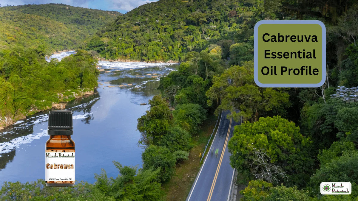 Miracle Botanicals Cabreuva essential oil bottle over a forested river valley and road, with text: Cabreuva Essential Oil Profile