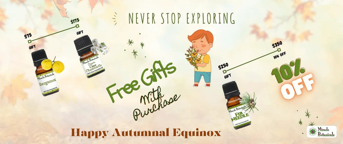 Autumn equinox promo with Bergamot, Cape Chamomile and Fir Needle oil gifts and a boy holding flowers, with text: Free Gifts, 10% Off