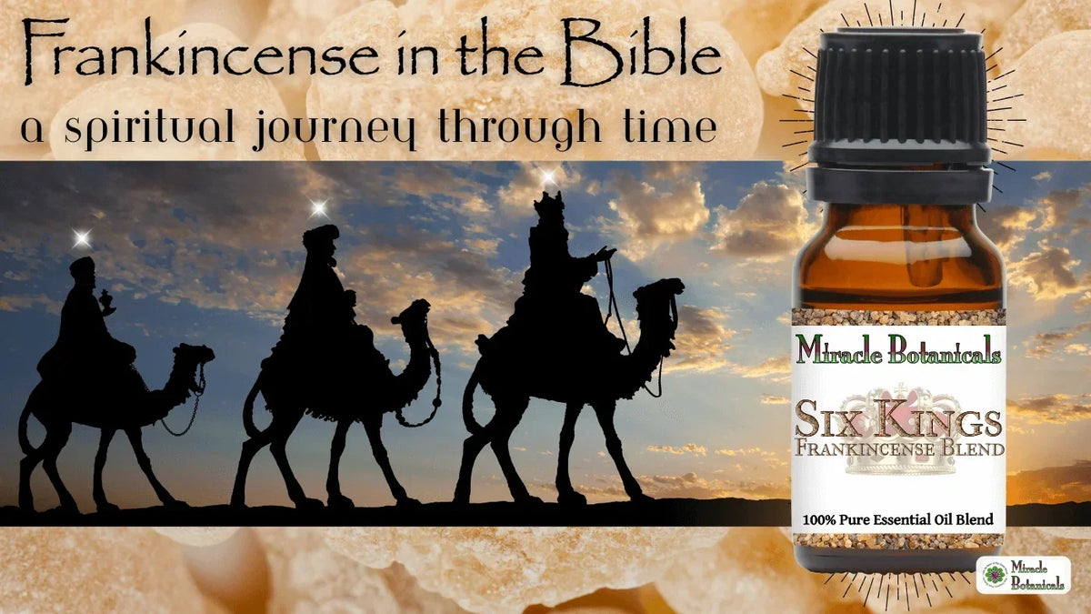 Silhouettes of three wise men on camels at sunset beside a Six Kings Frankincense Blend bottle, with text: Frankincense in the Bible