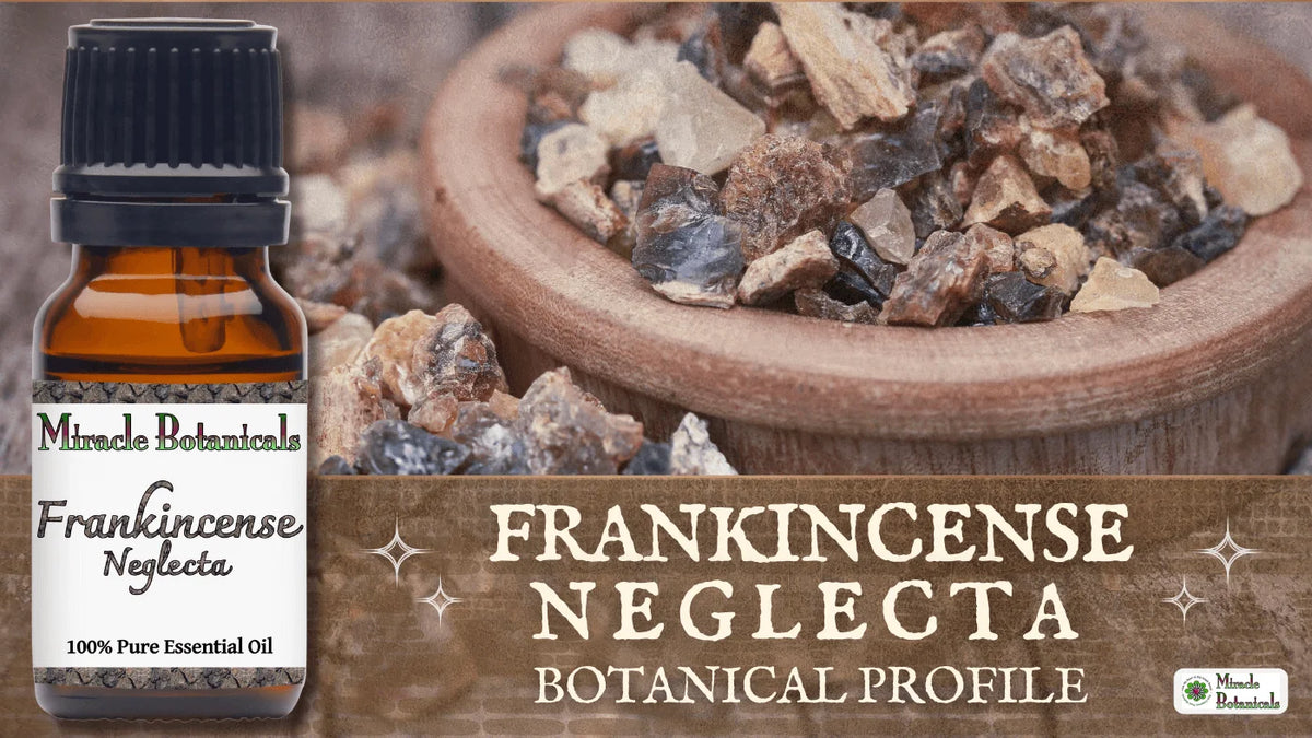 Frankincense Neglecta essential oil bottle beside a wooden bowl of frankincense resin