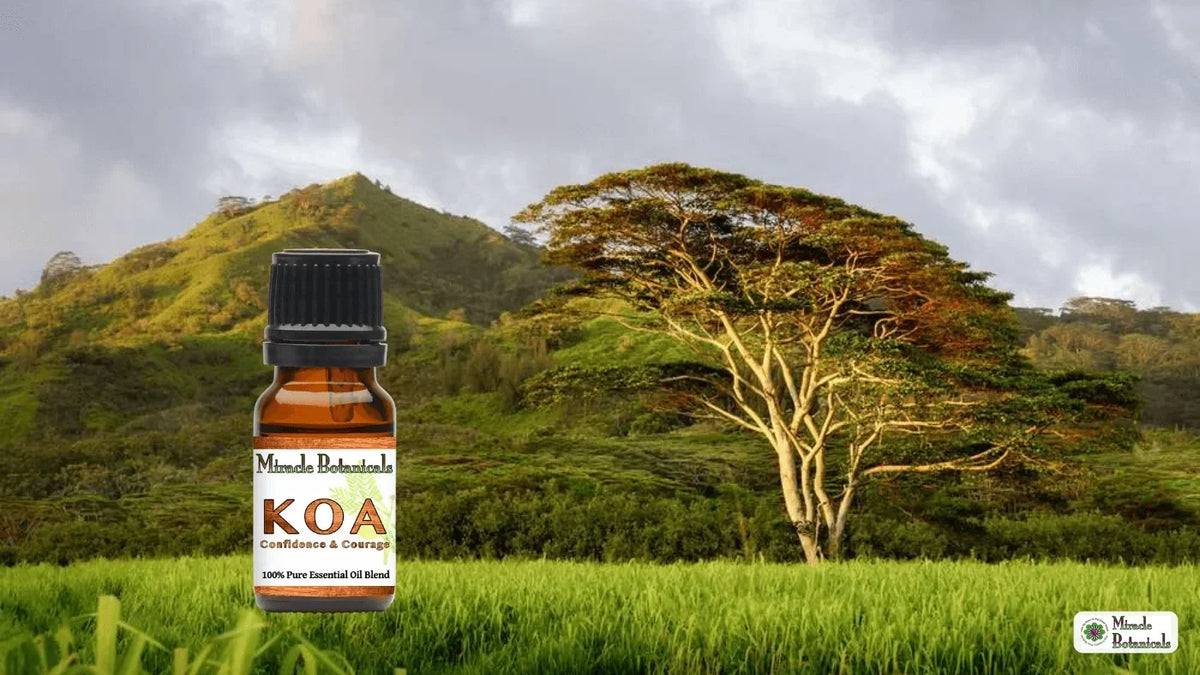 KOA Confidence & Courage essential oil blend bottle in a grassy field before green hills and a broad tree