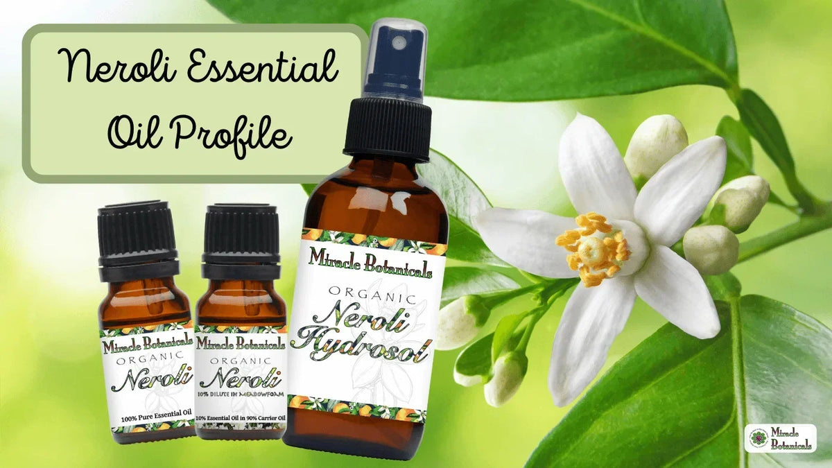 Organic Neroli oil, Neroli 10% dilute and Neroli Hydrosol bottles beside orange blossom, with text: Neroli Essential Oil Profile