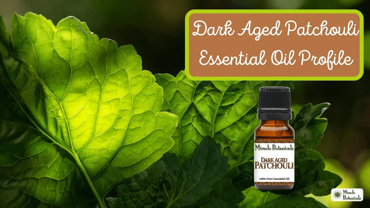 Dark Aged Patchouli essential oil bottle among sunlit green patchouli leaves, with text: Dark Aged Patchouli Essential Oil Profile
