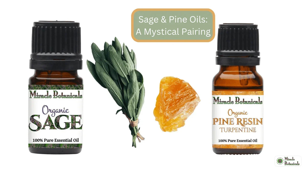 Organic Sage and Organic Pine Resin Turpentine bottles with a sage bundle and amber resin, with text: Sage & Pine Oils: A Mystical Pairing