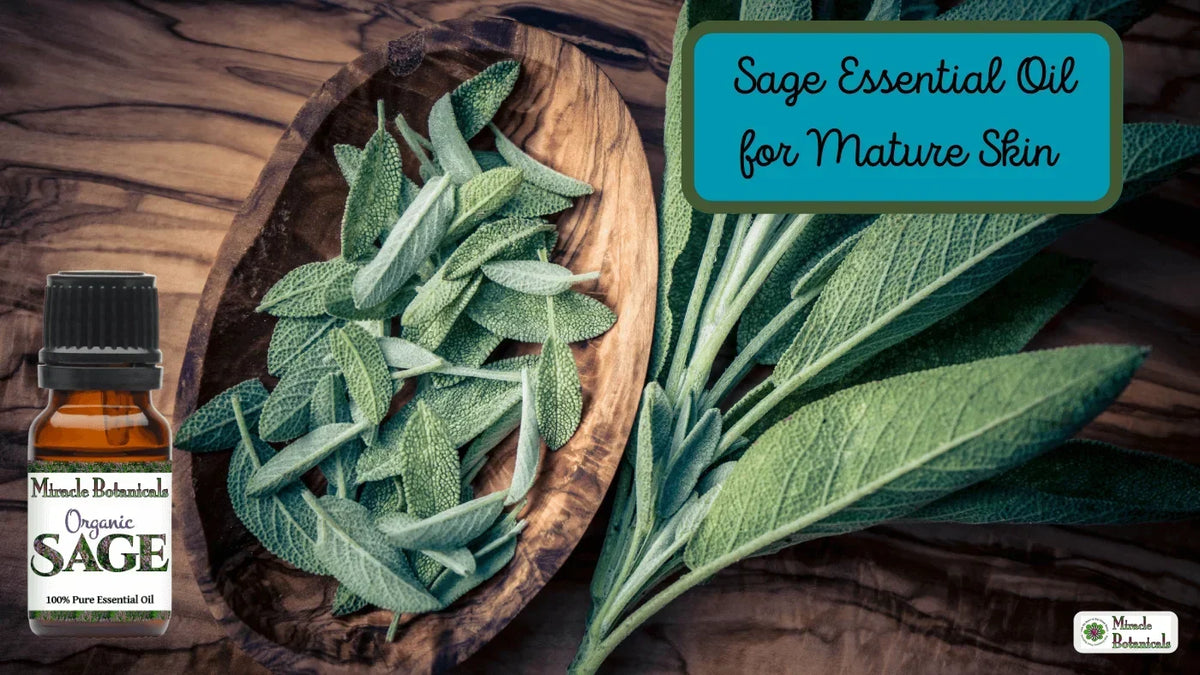Organic Sage bottle beside sage leaves in an olive wood bowl, with text: Sage Essential Oil for Mature Skin
