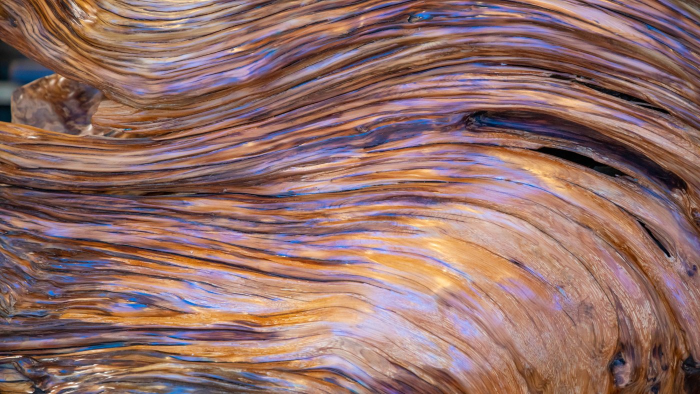 Exotic Wood Oils - Miracle Botanicals Essential Oils