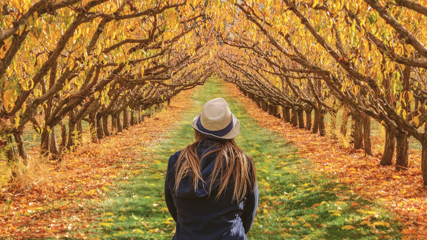 Fall Inspired Aromatherapy - Miracle Botanicals Essential Oils