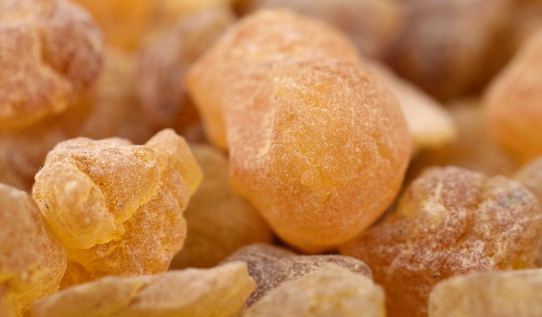 Frankincense - Miracle Botanicals Essential Oils