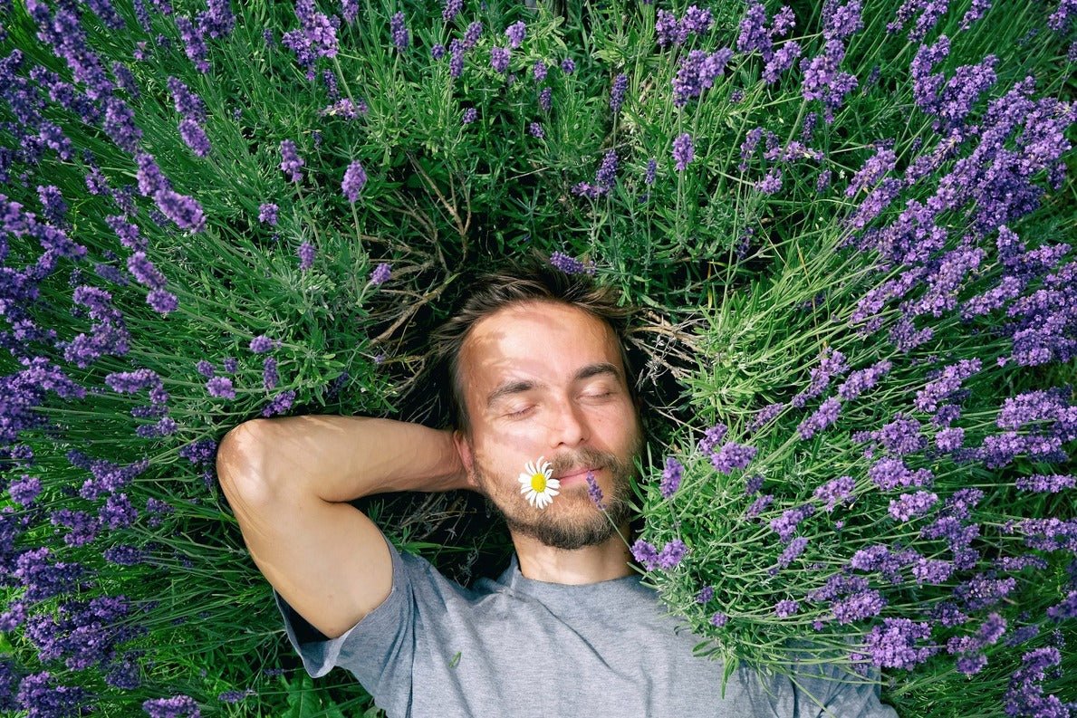 Lavender Essential Oils - Miracle Botanicals Essential Oils