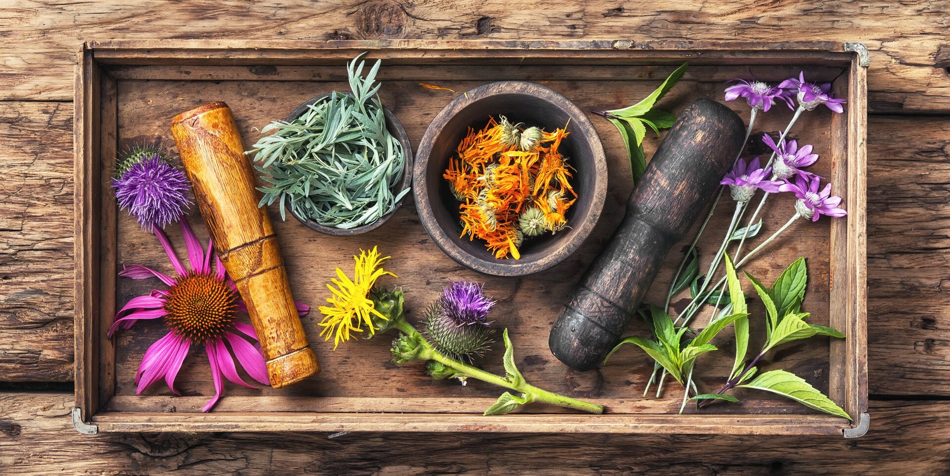 Rare & Exotic - Miracle Botanicals Essential Oils