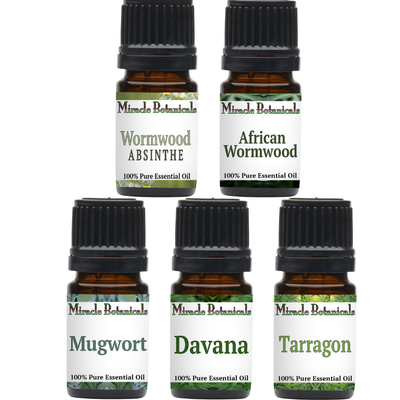Artemisia Essential Oil Sampler Set