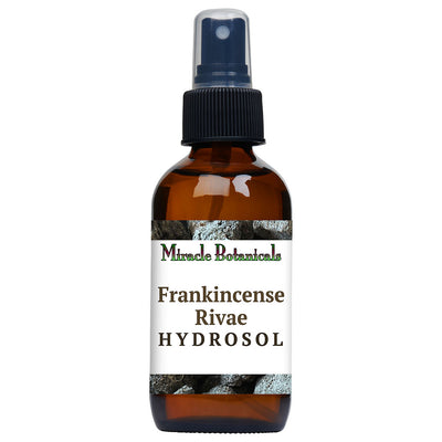 Frankincense Rivae Hydrosol - Wildcrafted (Boswellia Rivae)