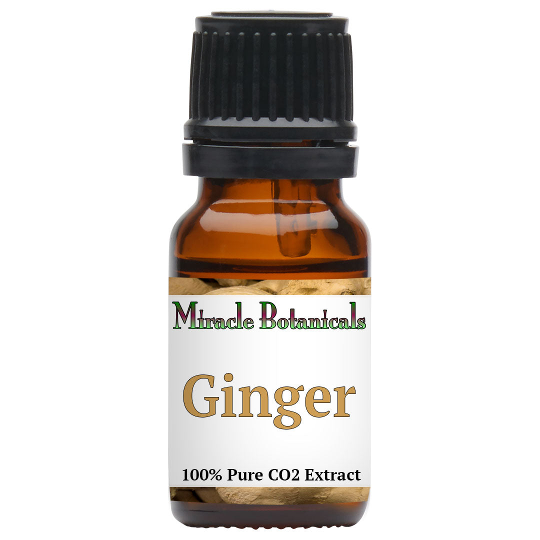 Ginger Essential Oil - CO2 Extracted (Zingiber Officinalis)