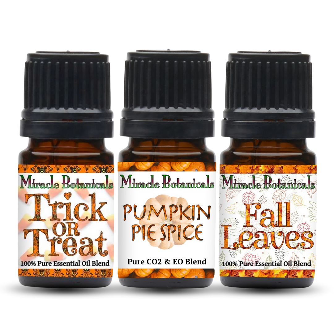 (Limited Edition) Fall Holiday Set