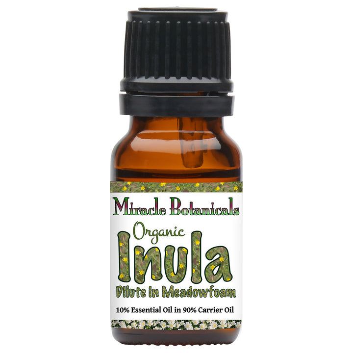 Inula Essential Oil - Organic - Fragrant Aster (Dittrichia graveolens (L.) Greuter (Syn : Inula graveolens Desf.)