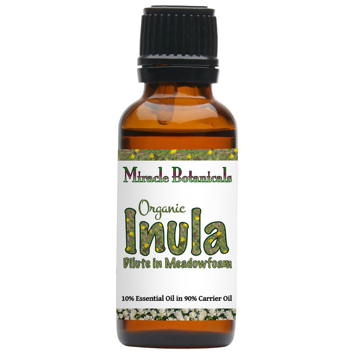 Inula Essential Oil - Organic - Fragrant Aster (Dittrichia graveolens (L.) Greuter (Syn : Inula graveolens Desf.)