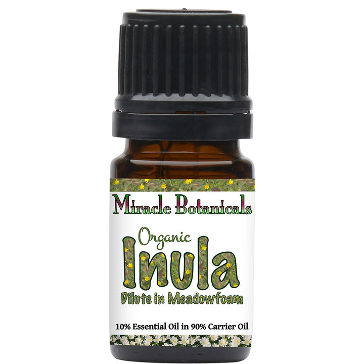 Inula Essential Oil - Organic - Fragrant Aster (Dittrichia graveolens (L.) Greuter (Syn : Inula graveolens Desf.)