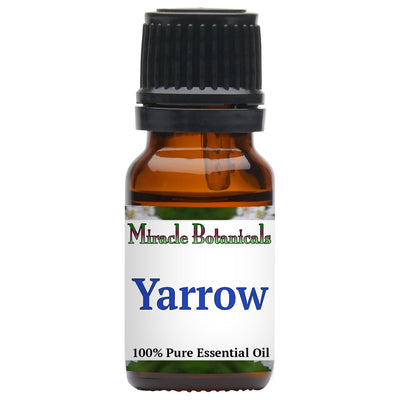 Yarrow Essential Oil (Achillea Millefolium)