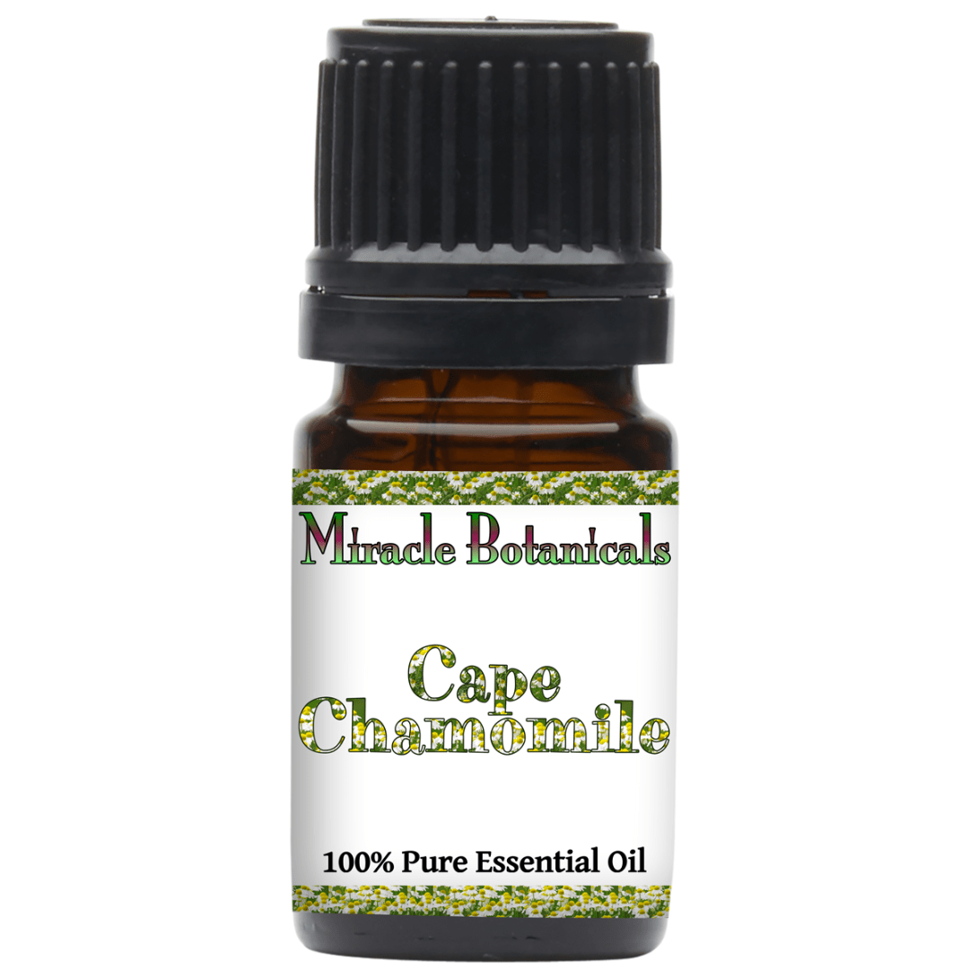 Chamomile (Cape) Essential Oil - (Eriocephalus Punctulatus) - Miracle Botanicals Essential Oils