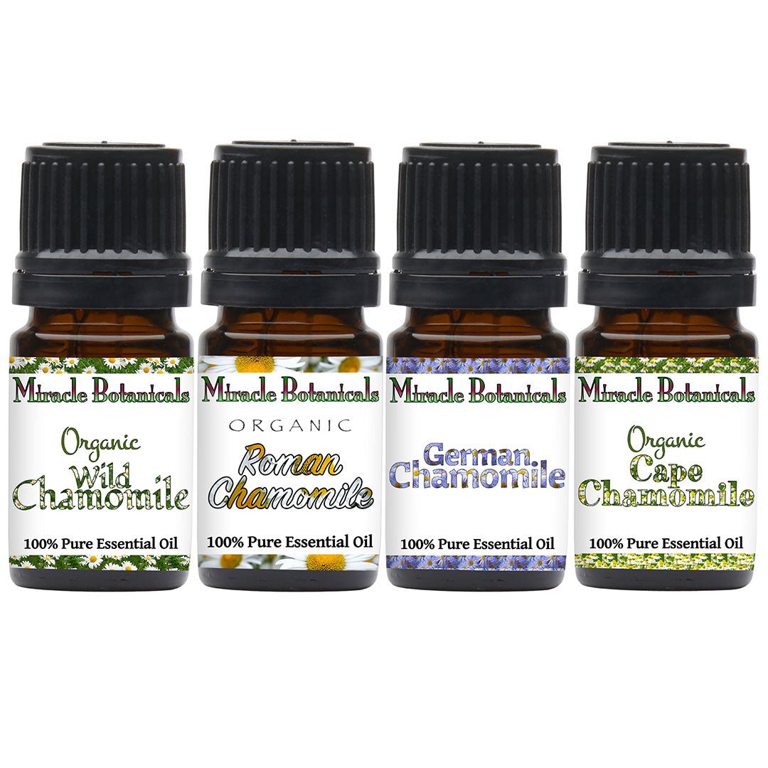 Chamomile Essential Oil Sampler Set - 100% Pure Essential Oils of 4 Fine Species of Chamomile - Miracle Botanicals Essential Oils