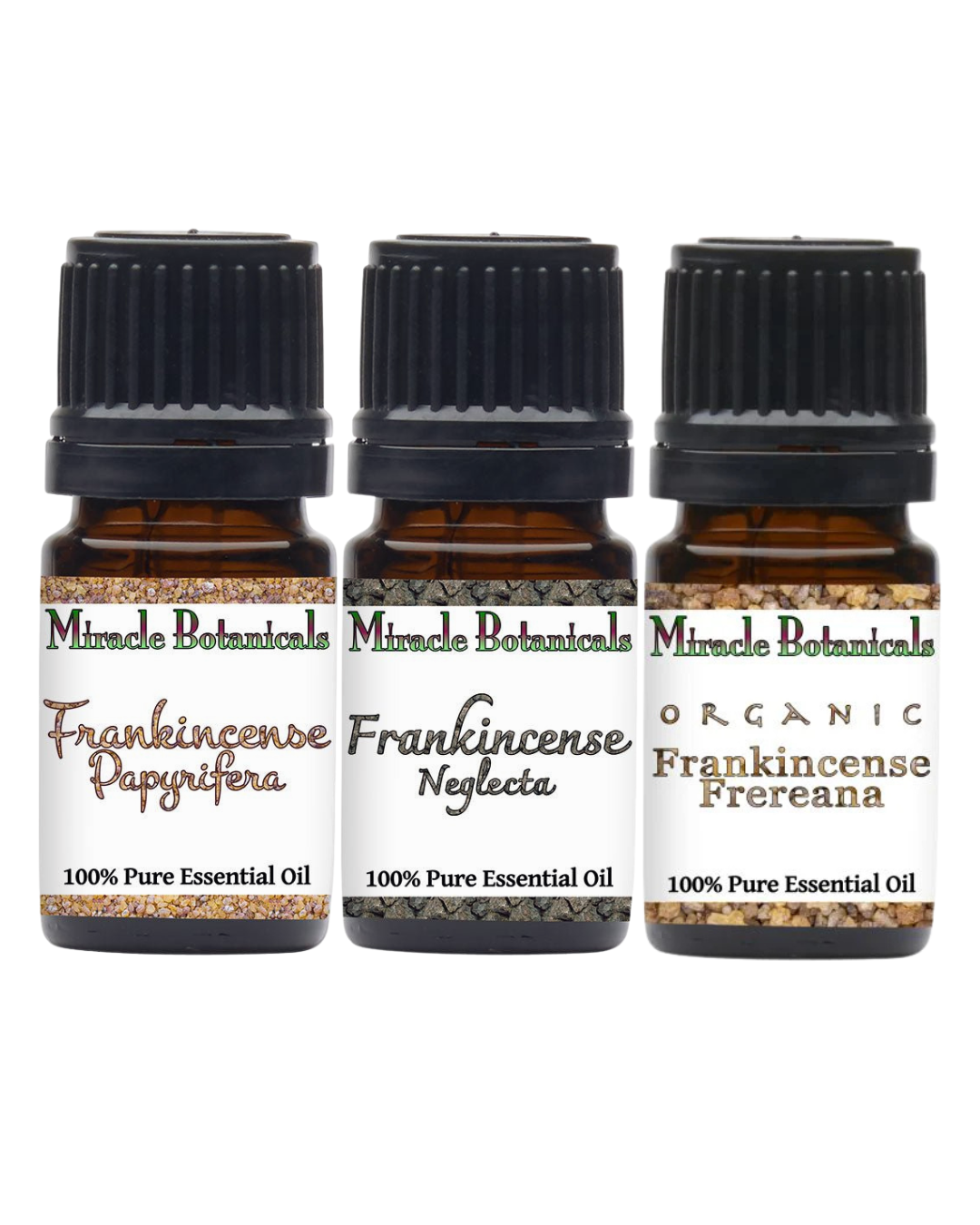 Rare Frankincense Essential Oil Set - Frankincense Trifecta Sampler