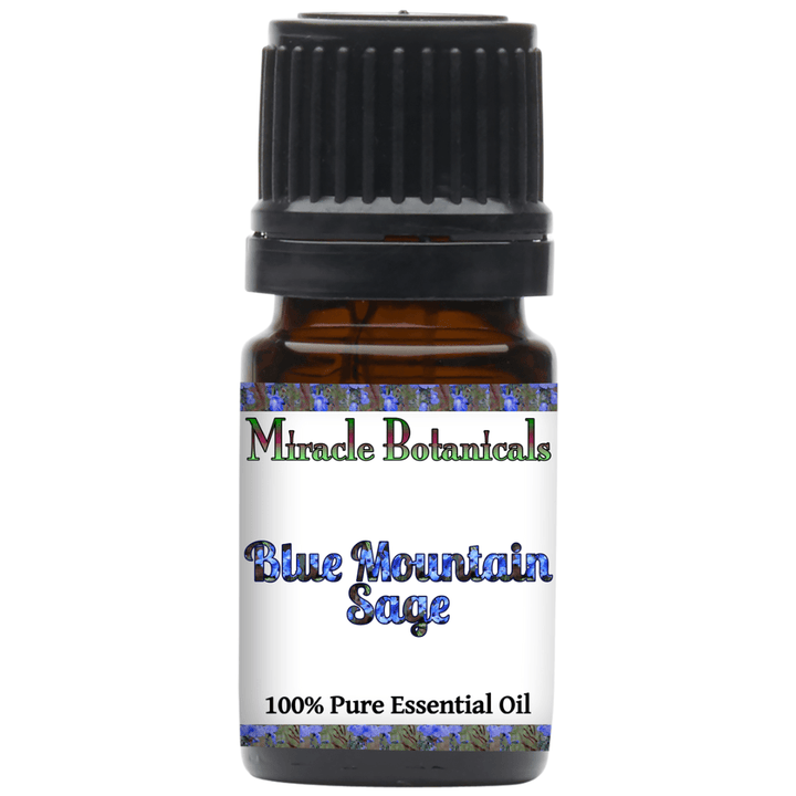 Sage (Blue Mountain) Essential Oil - (Salvia Chamelaeagnea) - Miracle Botanicals Essential Oils