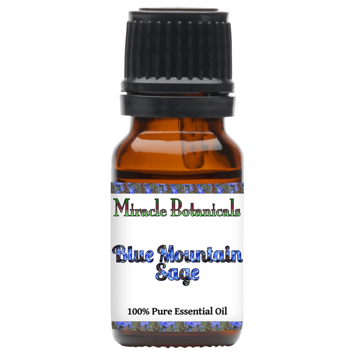 Sage (Blue Mountain) Essential Oil - (Salvia Chamelaeagnea) - Miracle Botanicals Essential Oils