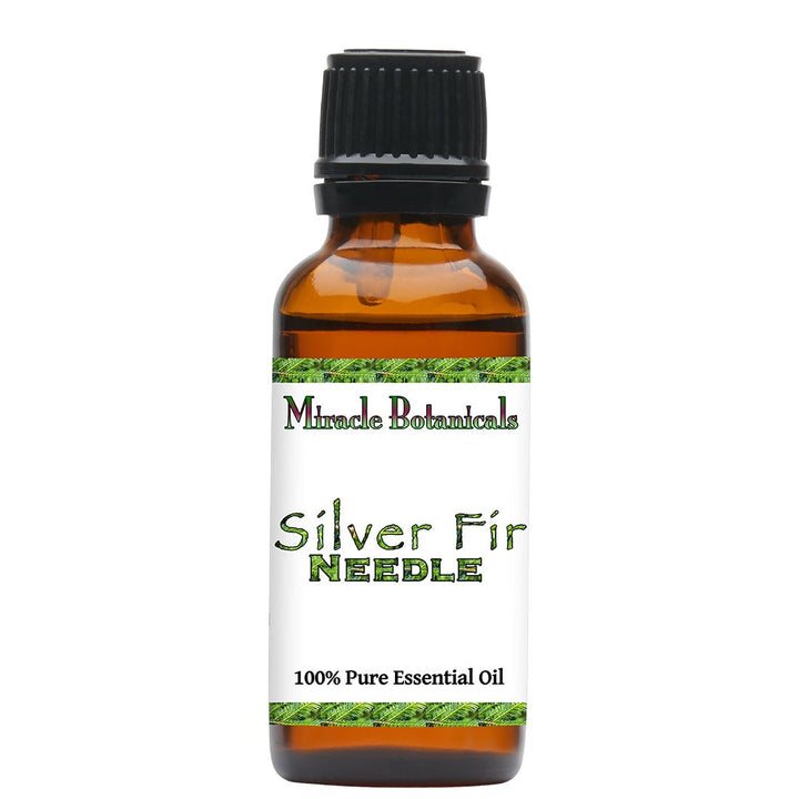 Silver Fir Needle Essential Oil ((White Fir Needle) Abies Alba Mill., fam. Pinaceae) - Miracle Botanicals Essential Oils