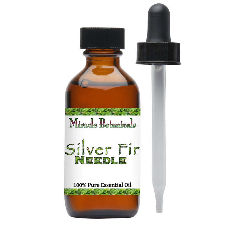 Silver Fir Needle Essential Oil ((White Fir Needle) Abies Alba Mill., fam. Pinaceae) - Miracle Botanicals Essential Oils