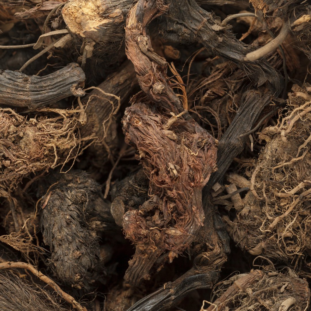 Spikenard Essential Oil - Organic (Nardostachys Jatamansi) - Miracle Botanicals Essential Oils