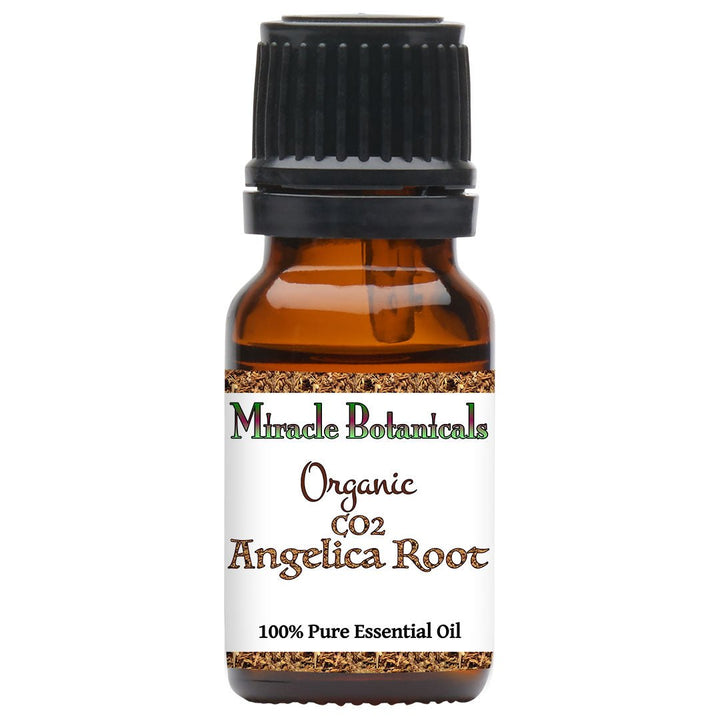 Angelica Root Essential Oil - Organic - CO2 Extracted (Angelica Archangelica) - Miracle Botanicals Essential Oils