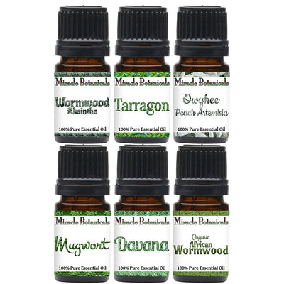 Artemisia Essential Oil Sampler Set