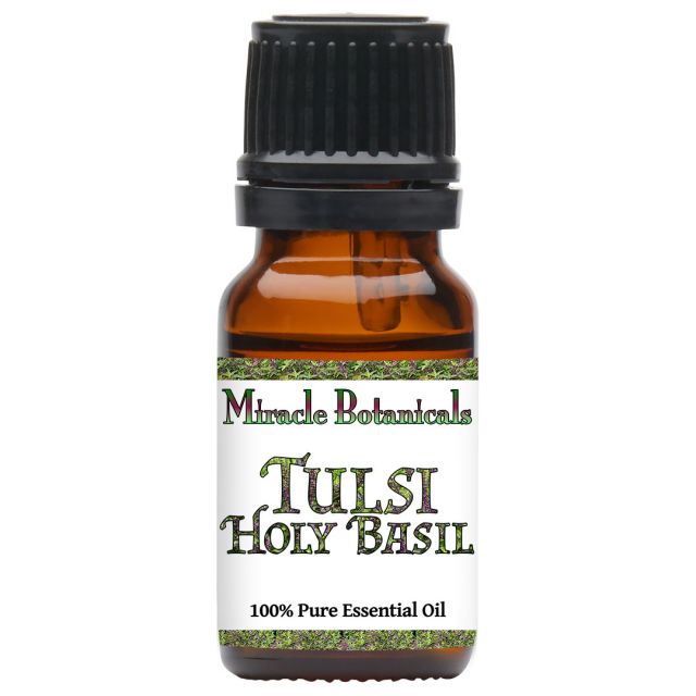 Basil (Tulsi Holy) Essential Oil (Ocimum Basilicum) - Miracle Botanicals Essential Oils