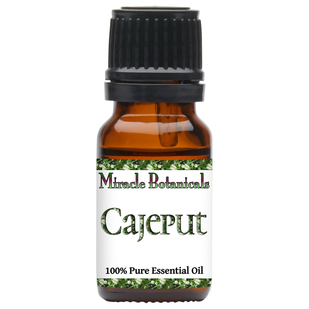 Cajeput Essential Oil (Melaleuca Cajuputi Powell) - Miracle Botanicals Essential Oils