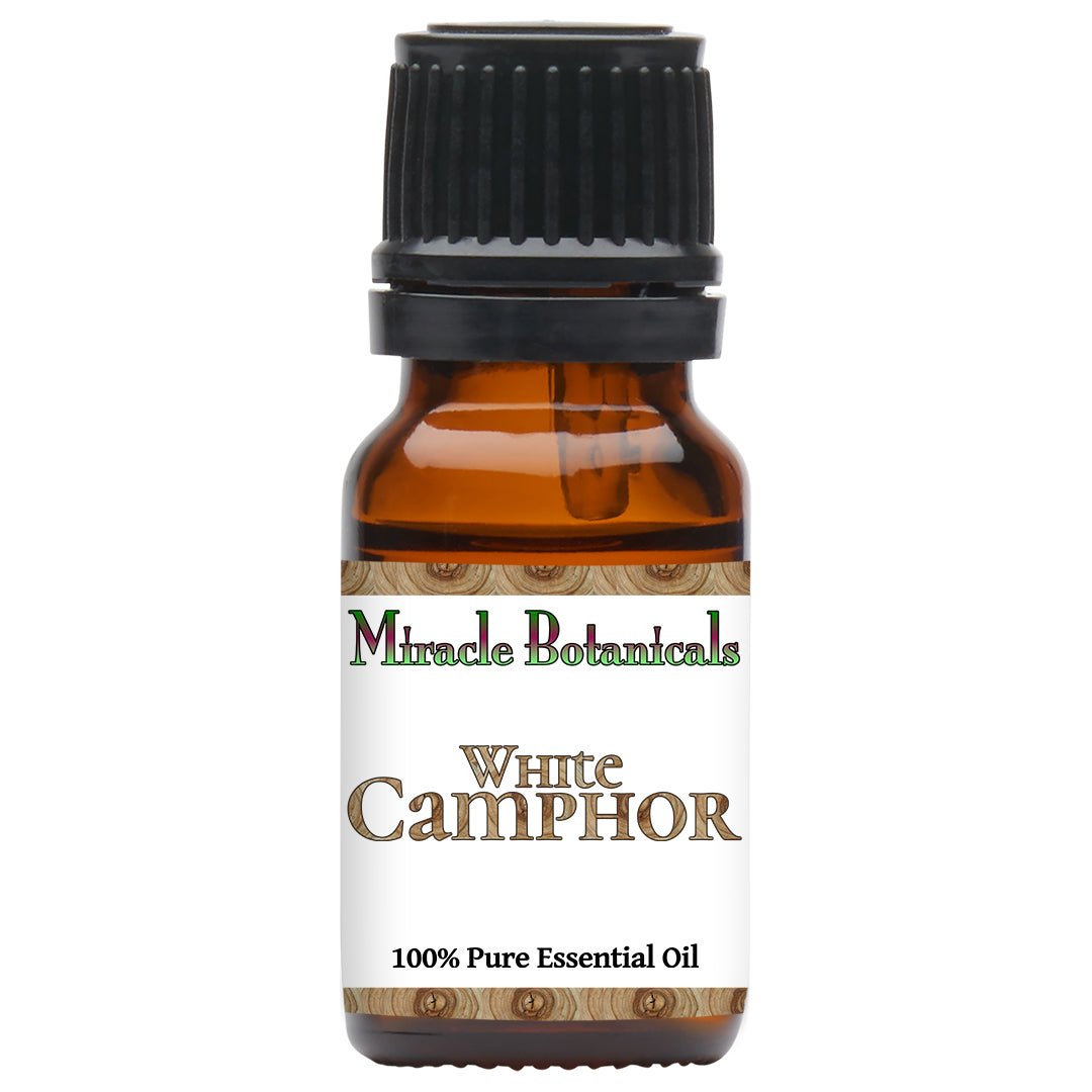 Camphor (White) Essential Oil (Cinnamomum Camphora - Linnaeus) - Miracle Botanicals Essential Oils