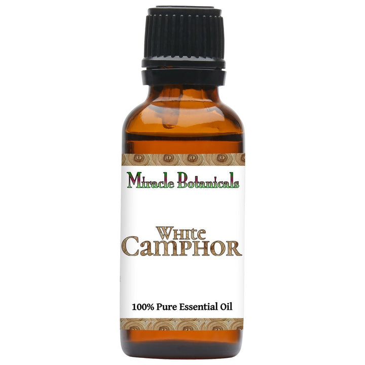 Camphor (White) Essential Oil (Cinnamomum Camphora - Linnaeus) - Miracle Botanicals Essential Oils