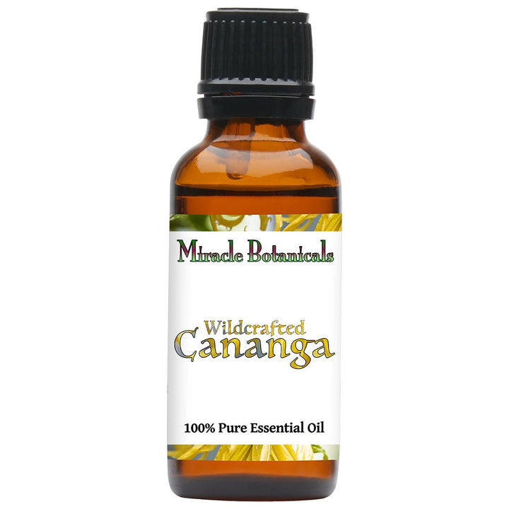 Cananga Essential Oil - Wildcrafted (Cananga Odorata var. Macrophylla) - Miracle Botanicals Essential Oils