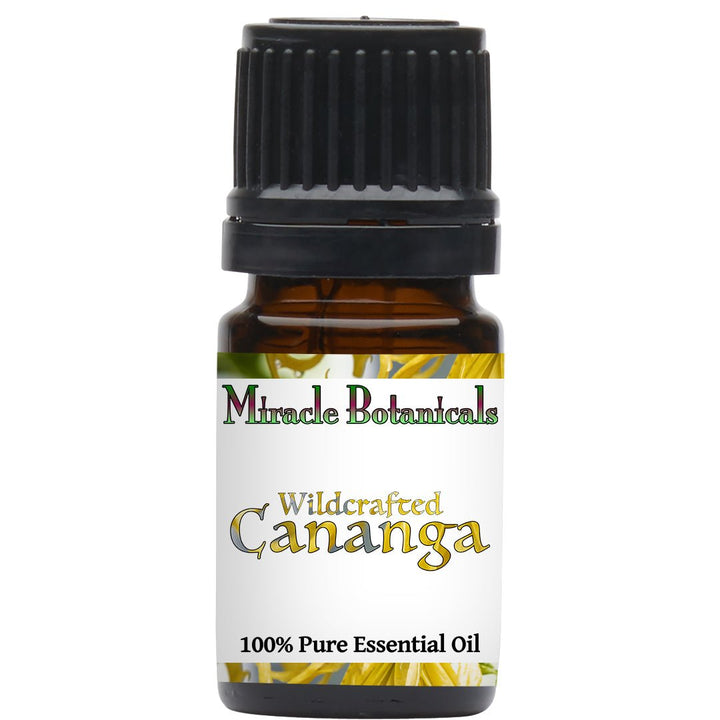 Cananga Essential Oil - Wildcrafted (Cananga Odorata var. Macrophylla) - Miracle Botanicals Essential Oils