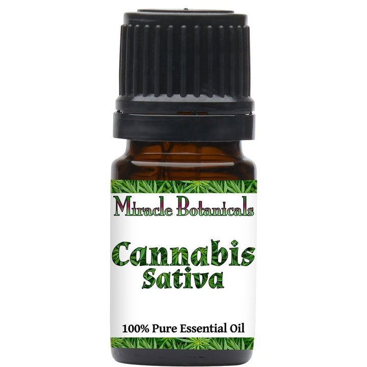 Cannabis Sativa Essential Oil (Cannabis Sativa) - Miracle Botanicals Essential Oils