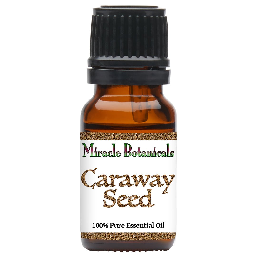 Caraway Seed Essential Oil (Carum Carvi) - Miracle Botanicals Essential Oils