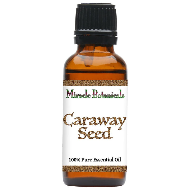 Caraway Seed Essential Oil (Carum Carvi) - Miracle Botanicals Essential Oils