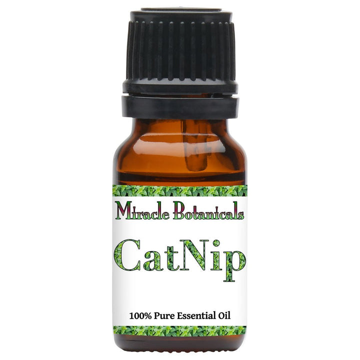 Catnip Essential Oil (Nepeta Cataria) - Miracle Botanicals Essential Oils