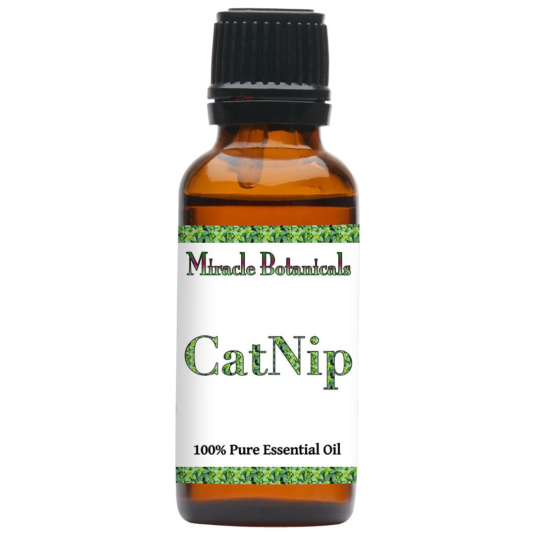 Catnip Essential Oil (Nepeta Cataria) - Miracle Botanicals Essential Oils