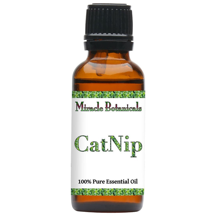 Catnip Essential Oil (Nepeta Cataria) - Miracle Botanicals Essential Oils