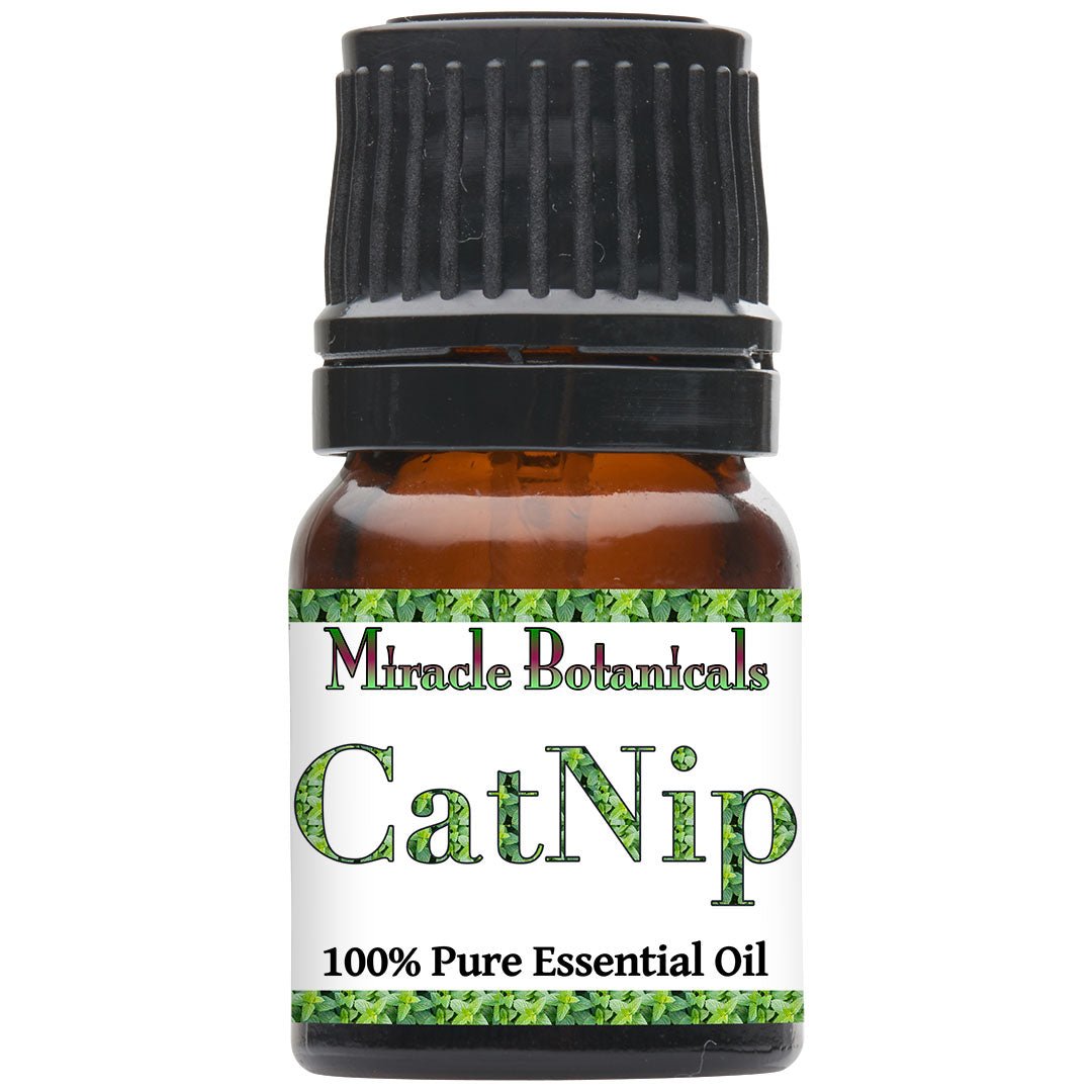 Catnip Essential Oil (Nepeta Cataria) - Miracle Botanicals Essential Oils