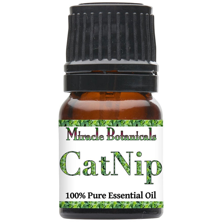 Catnip Essential Oil (Nepeta Cataria) - Miracle Botanicals Essential Oils