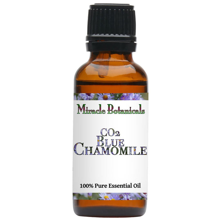 Chamomile (Blue) Essential Oil - Co2 Extracted German Chamomile (Matricaria Chamomilla) - Miracle Botanicals Essential Oils