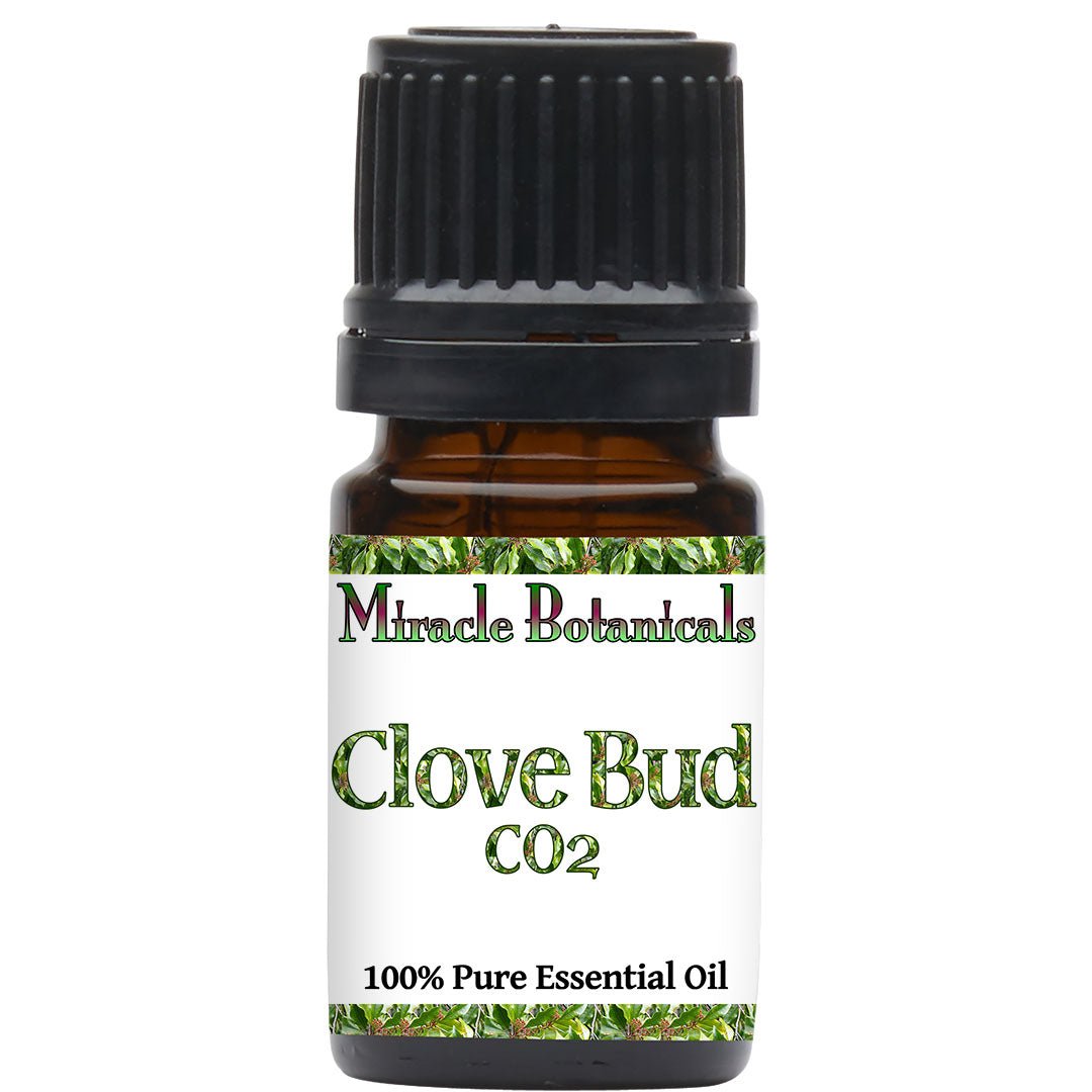 Clove Bud Essential Oil - CO2 Extracted (Eugenia Caryophyllata) - Miracle Botanicals Essential Oils