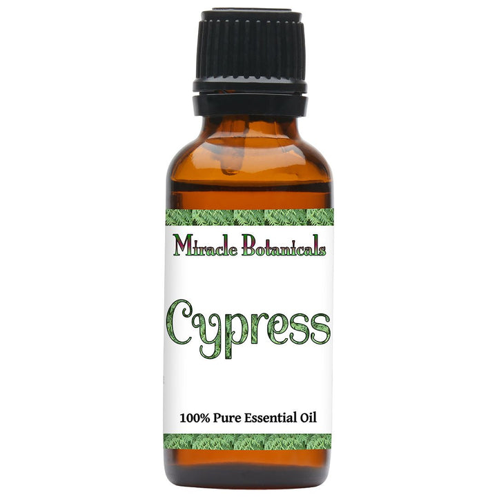 Cypress Essential Oil - Wildcrafted (Cupressus Sempervirens) - Miracle Botanicals Essential Oils